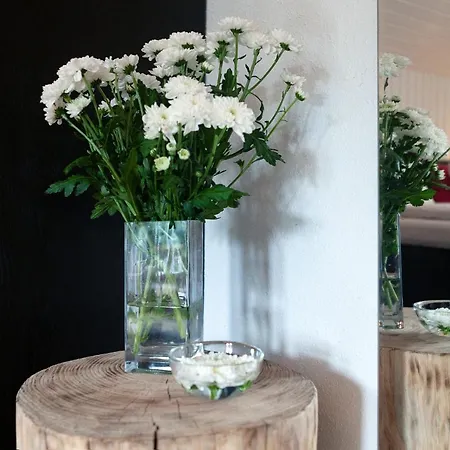 Kollinger Дом отдыха Капрун